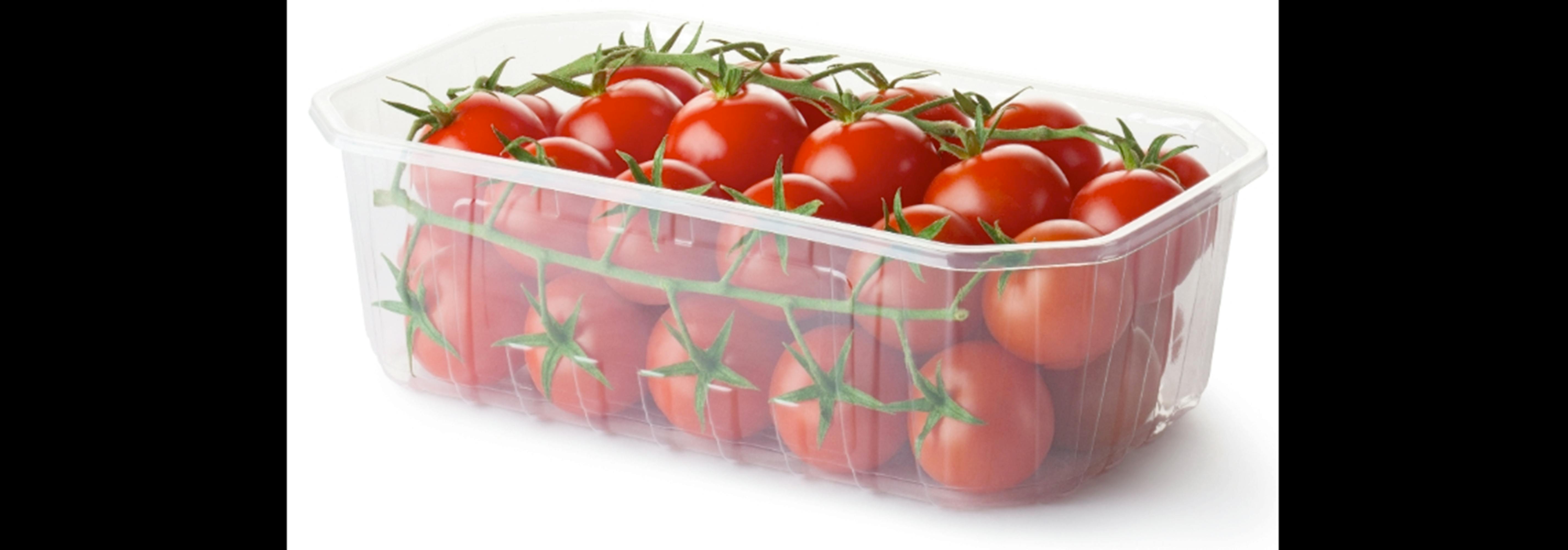 Free stock photo of Tomato Packaging