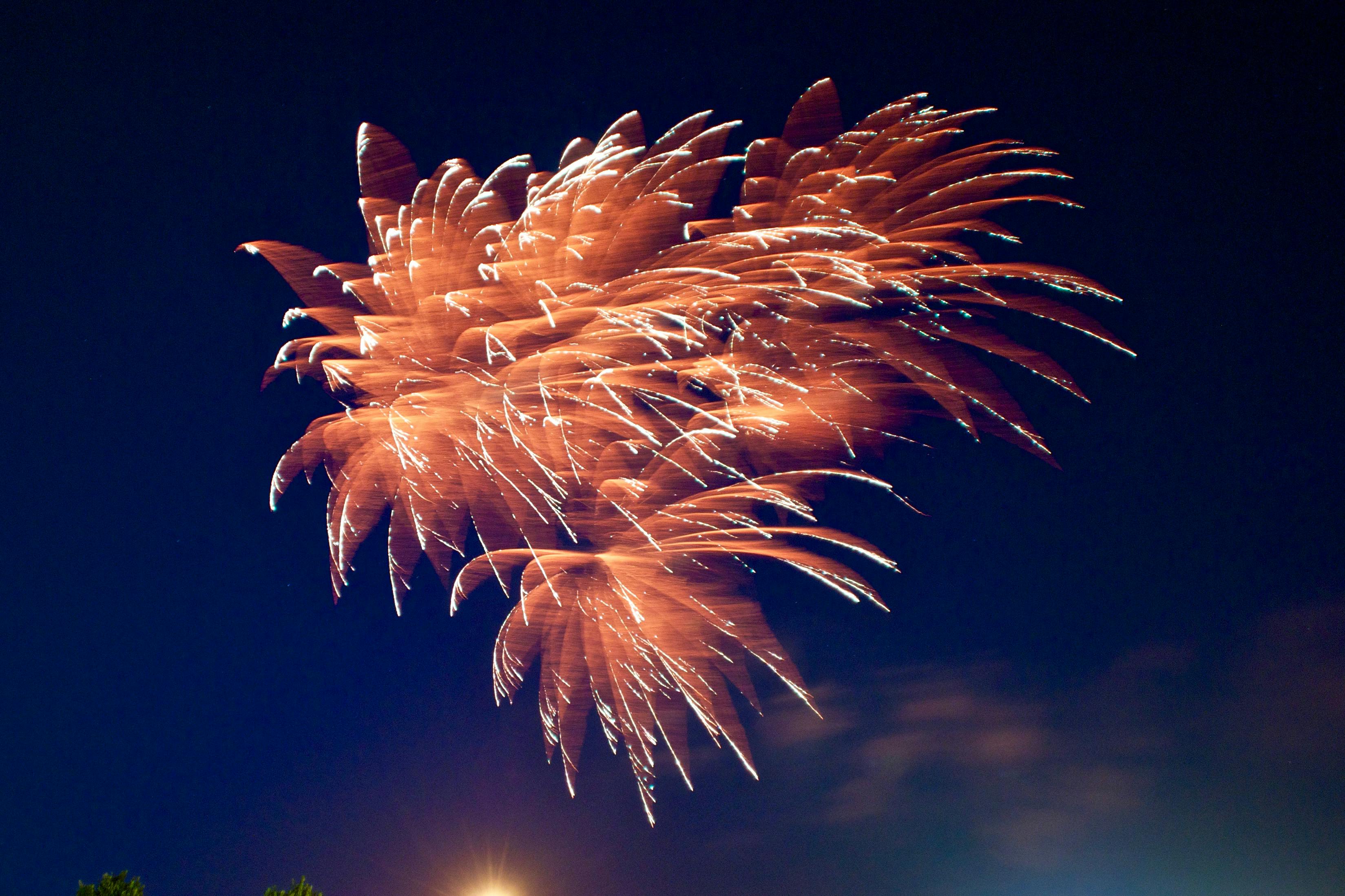 free-stock-photo-of-feu-d-artifice-rose