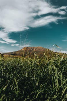在戏剧性的天空下，山上郁郁葱葱的绿野呈现出令人惊叹的风景