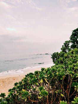 Serene tropical beach with lush greenery, gentle waves, and a peaceful sky in Chemancheri, India.
