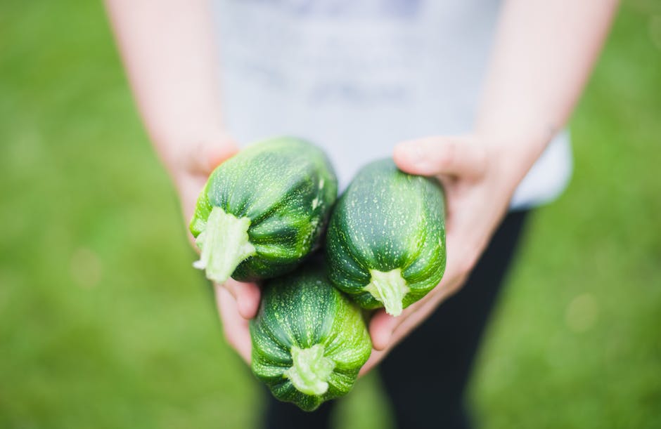 Een moestuin aanleggen in stappen Een moestuin aanleggen in stappen