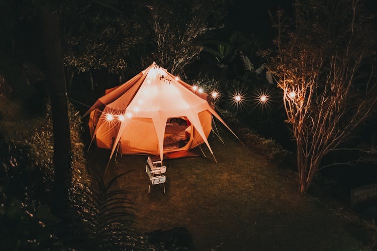 Camping Tent Surrounded With Trees During Nighttime