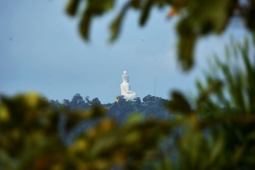 Foto profissional grátis de Buda, budismo, budistas