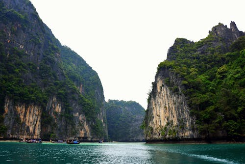 顯示島嶼的人