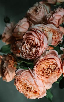 这束在自然光下捕捉到的粉红玫瑰，色彩柔和美丽，非常适合浪漫或婚礼主题