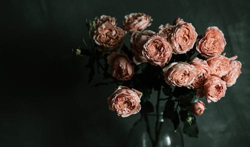 Foto Van Pink Garden Rose Flowers In A Glass Vase