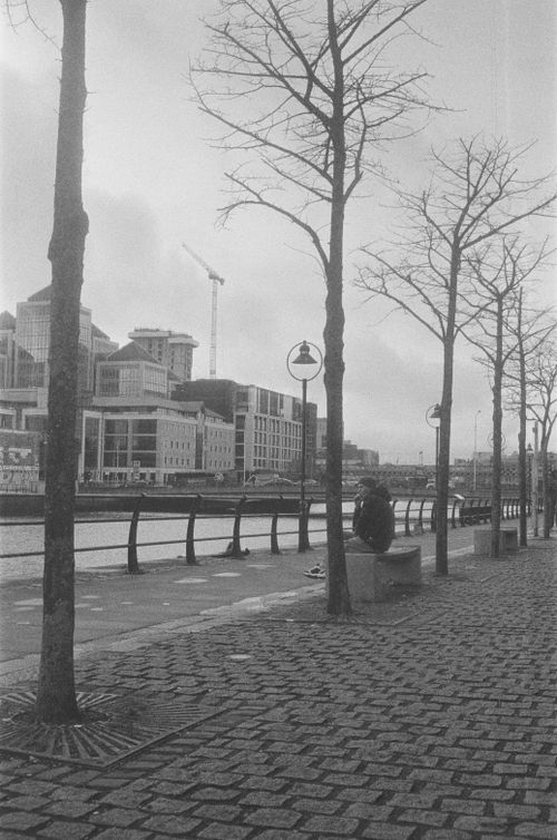 Free Monochrome image of a city riverfront with bare trees and buildings in autumn. Stock Photo