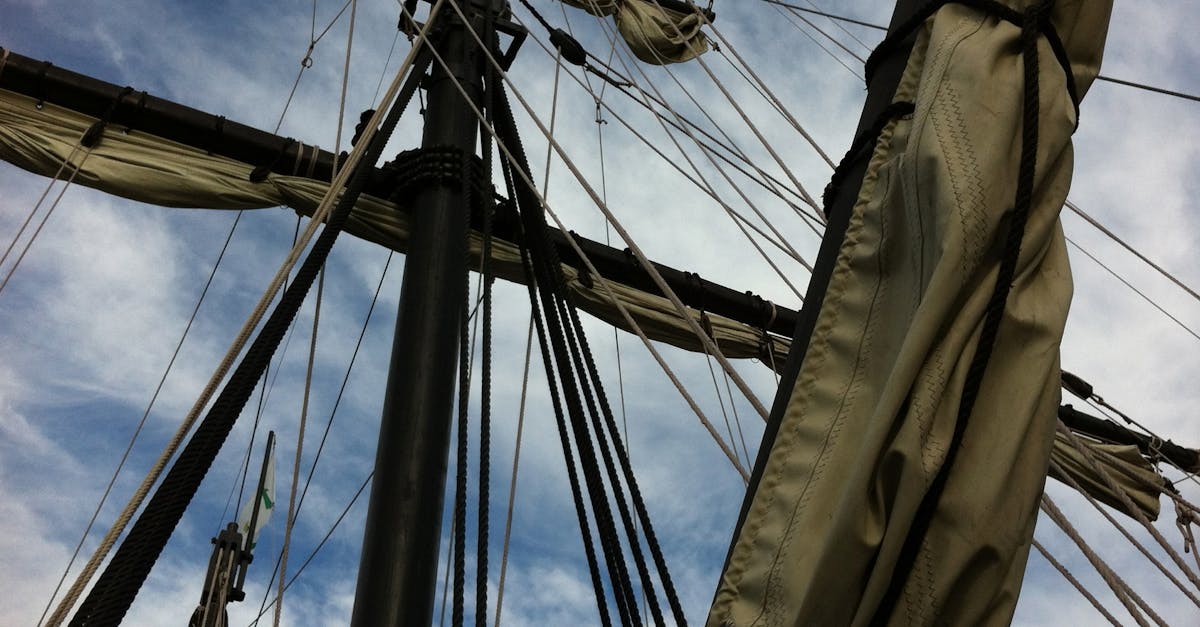 What does frigate gozaimasu mean in English