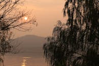 湖面上宁静的日落、树木的轮廓和温暖的光芒，非常适合自然和旅行主题