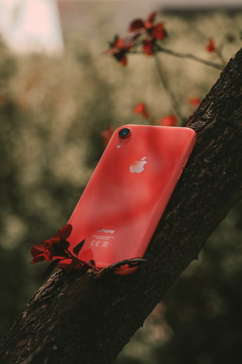 產品紅色iphone 7在樹上