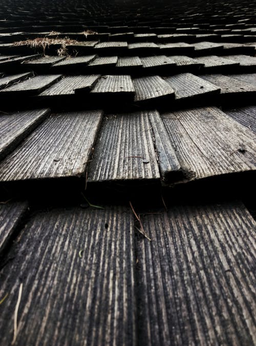 Miễn phí Ảnh lưu trữ miễn phí về gỗ, kết cấu, mái chống Ảnh lưu trữ