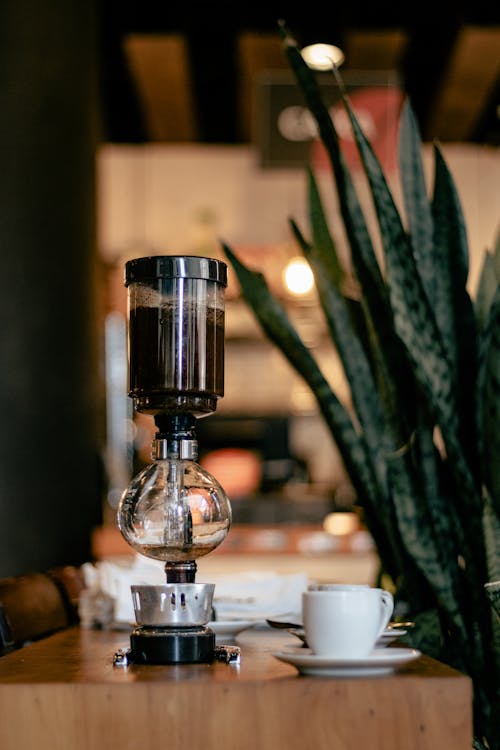A coffee maker on a table next to a plant