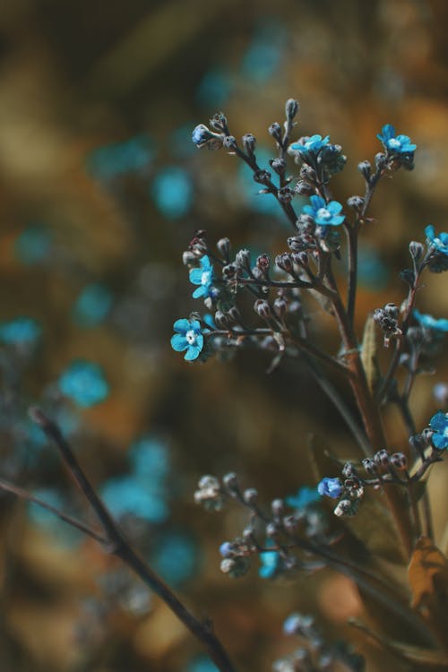 Foto d'estoc gratuïta de a l'aire lliure, blau, branca