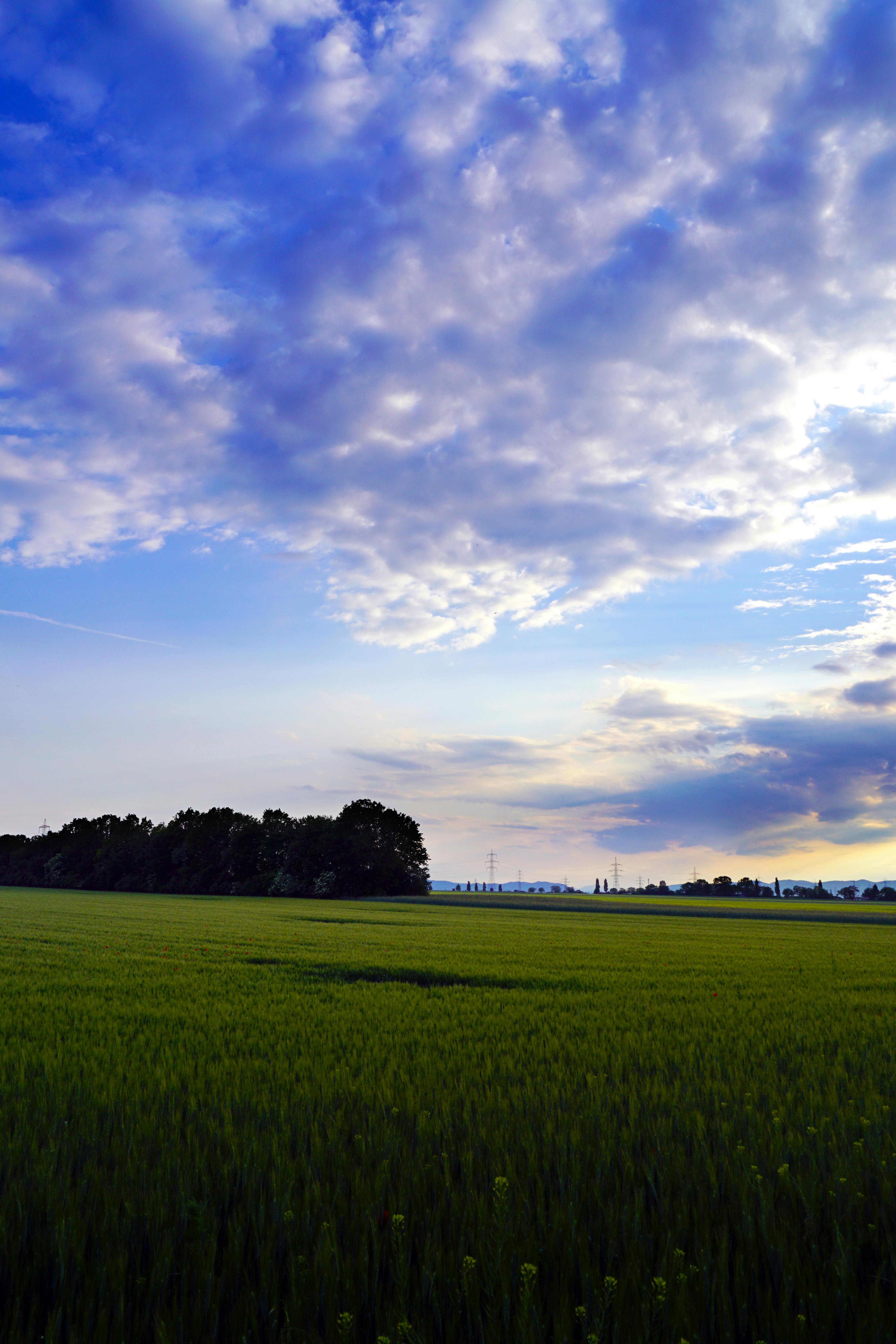 Download Pink And Yellow Mask Free Stock Photo PSD Mockup Templates
