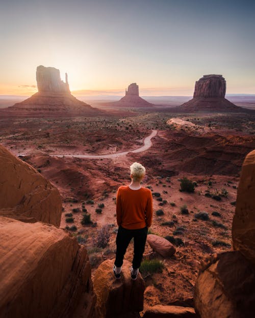 Free Back View of a Person Standing on Brown Rock Overlooking the Landscape Scenery Stock Photo