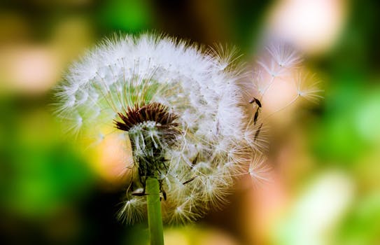 一张采用柔焦和鲜艳色彩的榛子微距特写镜头