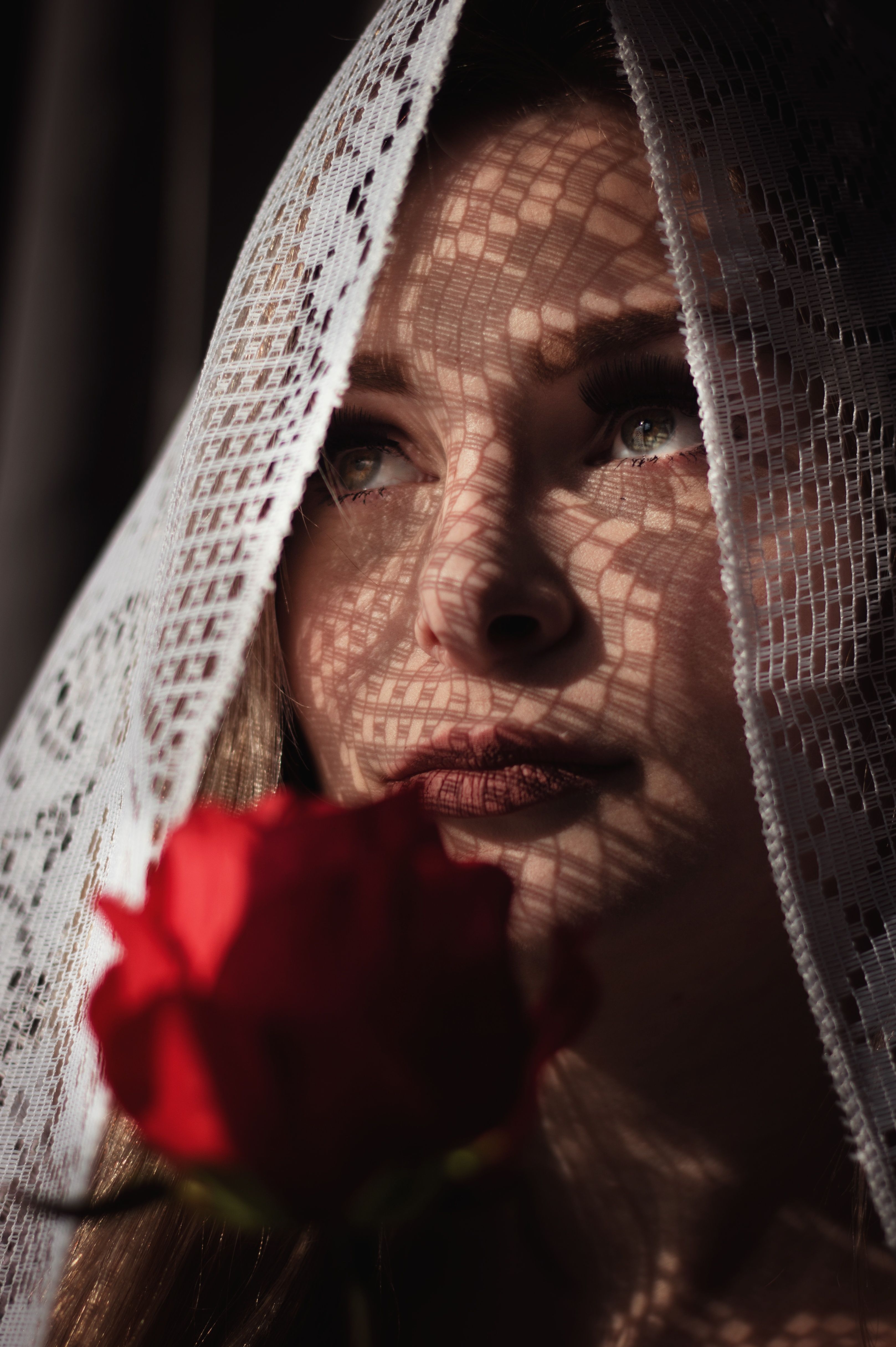 Woman Wearing Black Lace Veil · Free Stock Photo