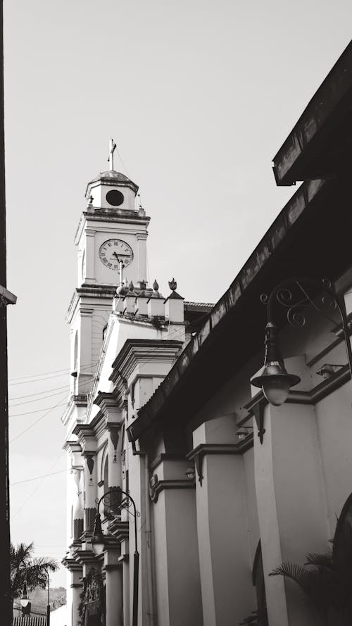 Fotos de stock gratuitas de a través de la ventana, blanco y negro, campanario