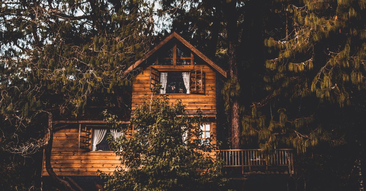 Captivating treehouse nestled among dense forest foliage, showcasing rustic architecture.