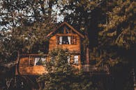 Brown Wooden Treehouse