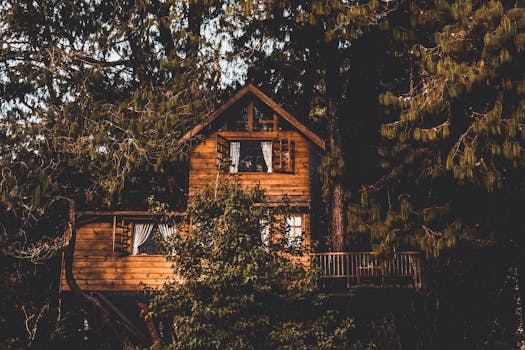 迷人的树屋坐落在茂密的树林中，展现了乡村建筑的特色