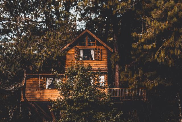 Timber treehouse cabin tucked into dense evergreen forest — photo by Angela Cavina on Pexels