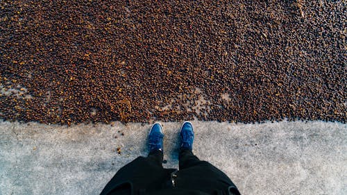 Free person standing on pavement Stock Photo