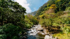 在蔚蓝的天空下，一条宁静的溪流穿过巴拿马博奎特充满活力的雨林