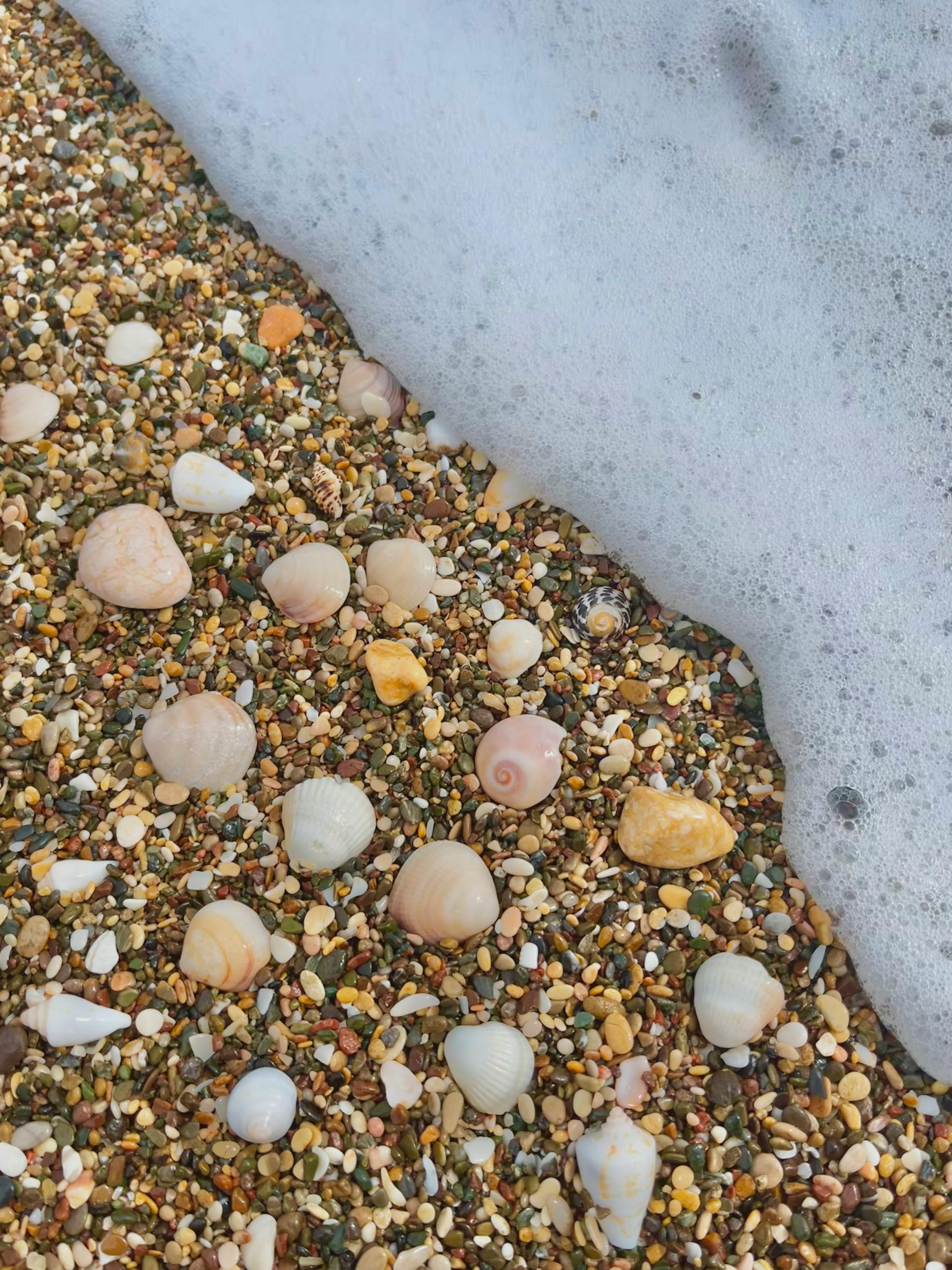 A vibrant scene of seashells and pebbles with foamy waves on the shoreline.