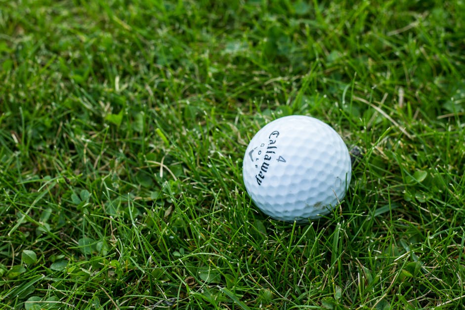 Free stock photo of golf, golf ball, grass