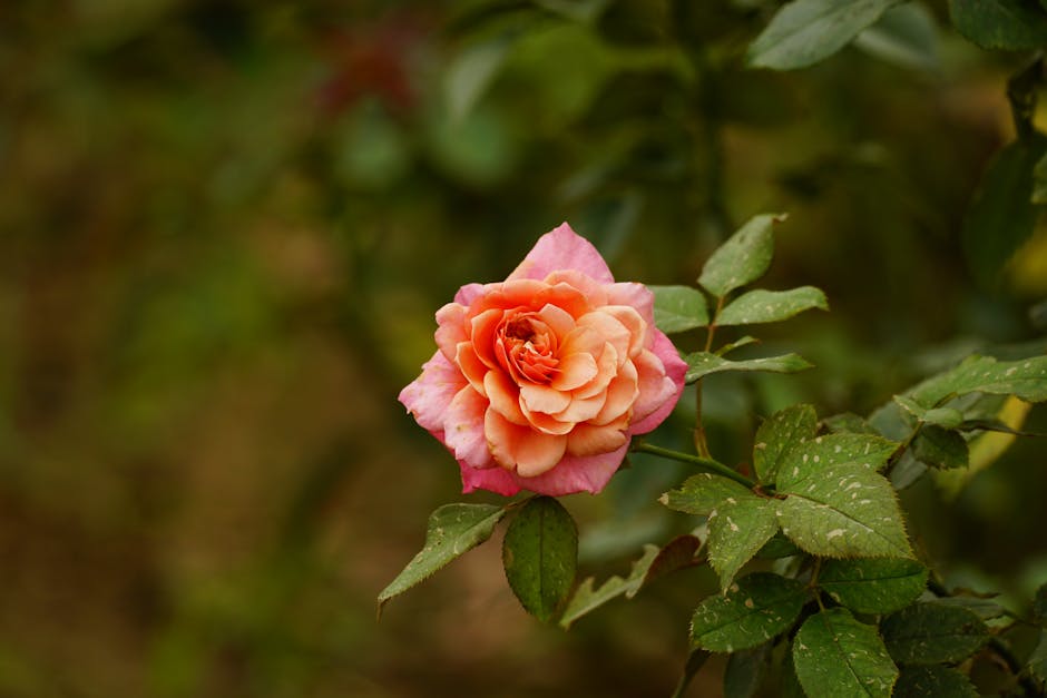 Unlocking the power of scent layering for all day freshness