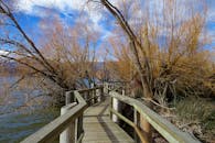 一条木桥步道宁静地环绕在树木和流水之间，非常适合在大自然中安静漫步