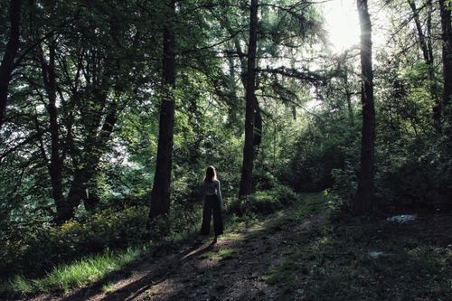 Free A woman walks alone through a sunlit forest pathway, surrounded by lush green trees. Stock Photo