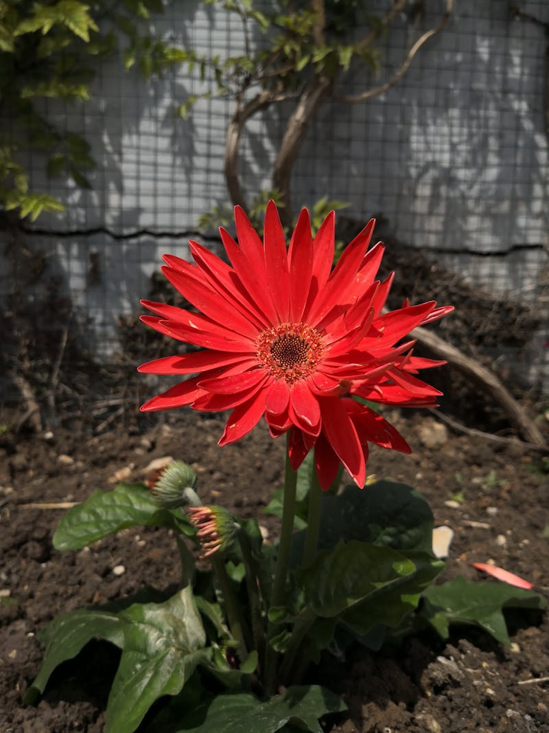 工程师在工厂办公室利用智能文档比对审阅设备说明书差异报告