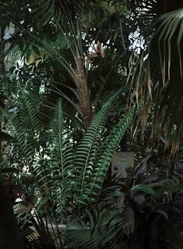 这个宁静的热带花园里，绿叶郁郁葱葱，蕨类植物和棕榈叶生机盎然