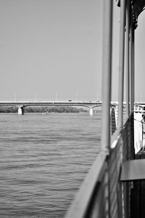 Free Black and white photo of a bridge viewed from a boat on a calm body of water. Stock Photo