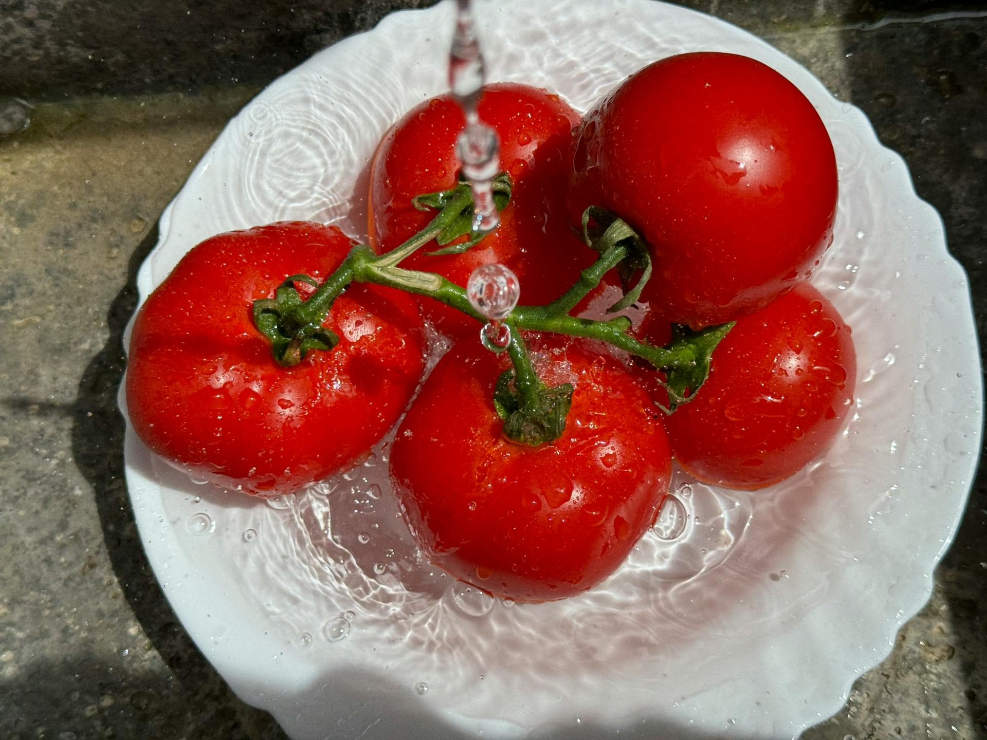 Close-up of Tomatoes Being Washed under Running Water