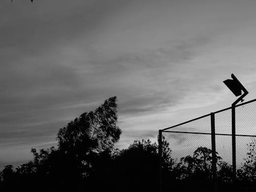 Foto stok gratis hitam & putih, kesendirian, kesunyian