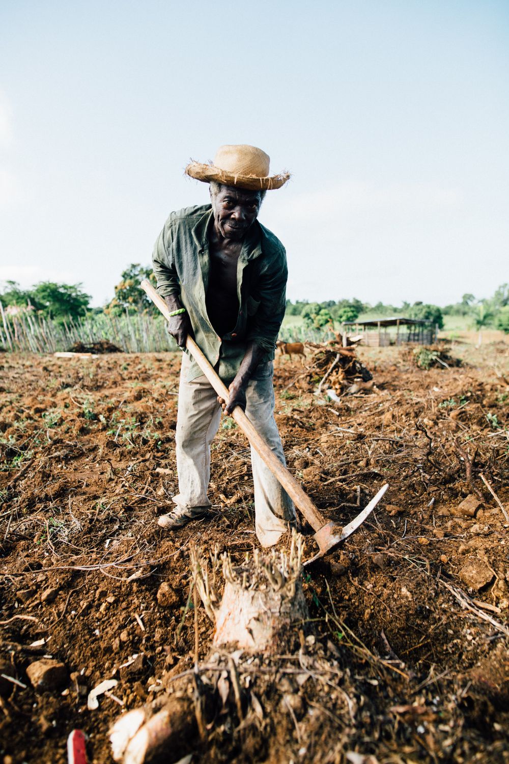 How DollarShamba is Connecting Farmers Directly to Markets