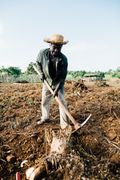 Gardener