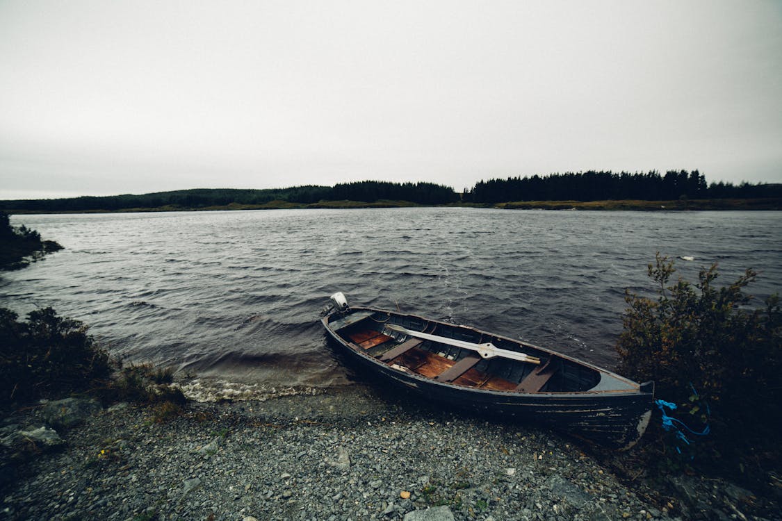 Fotobanka s bezplatnými fotkami na tému breh, jazero, kanoe