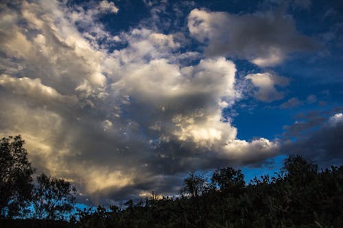 Free stock photo of cloudy, sky, sunny Stock Photo
