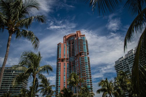 High rise buildings and  palm trees