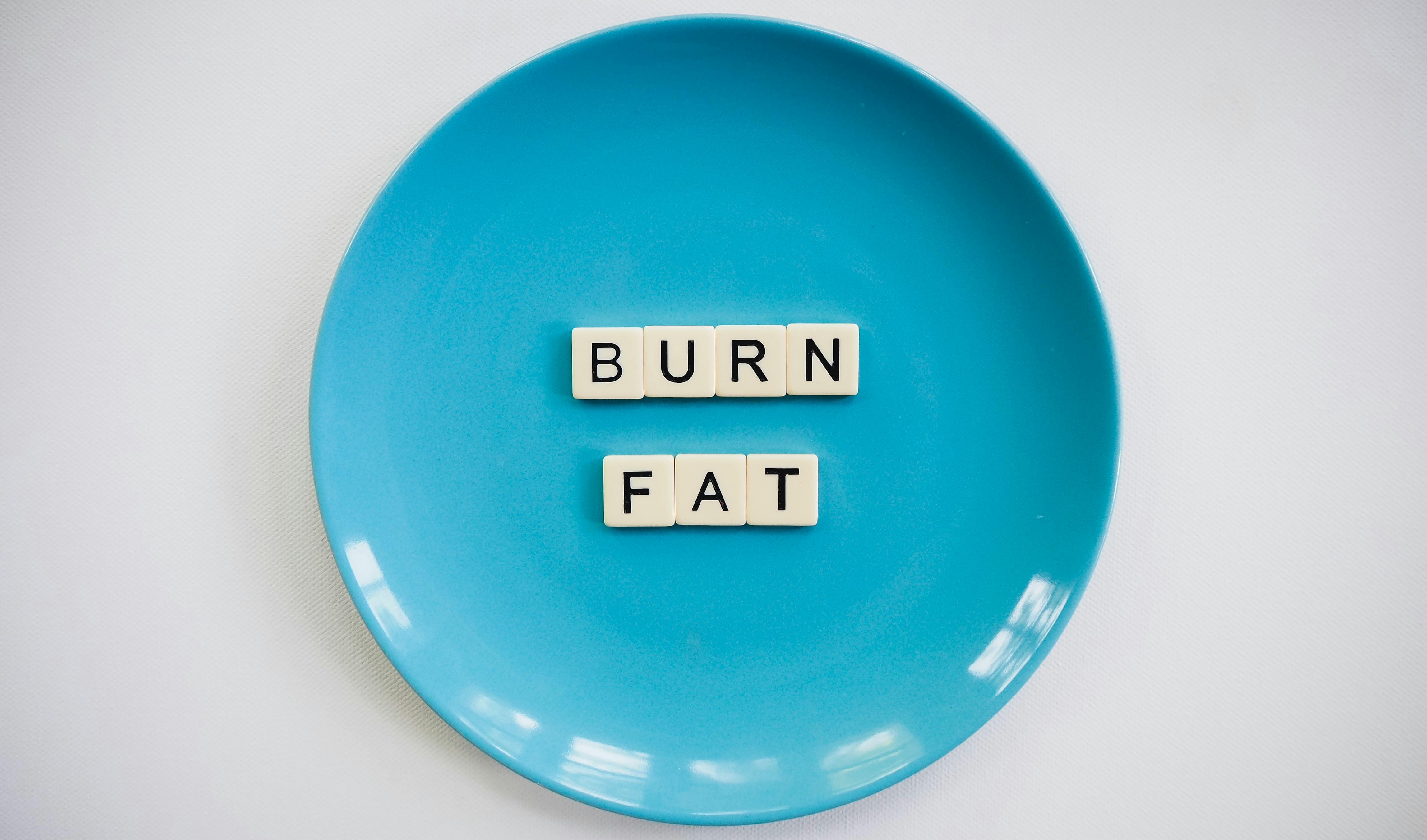 Photo of a Burn Fat Text on Round Blue Plate · Free Stock Photo