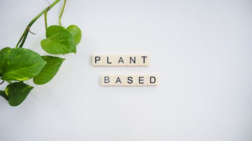Free stock photo of plant based, plant diet, vegan