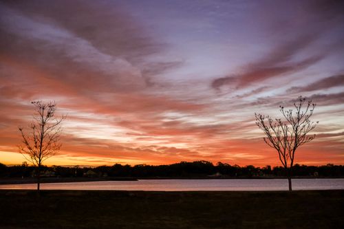 Free Beautiful sunset over a tranquil lake with silhouetted trees in Stamford, CT. Stock Photo