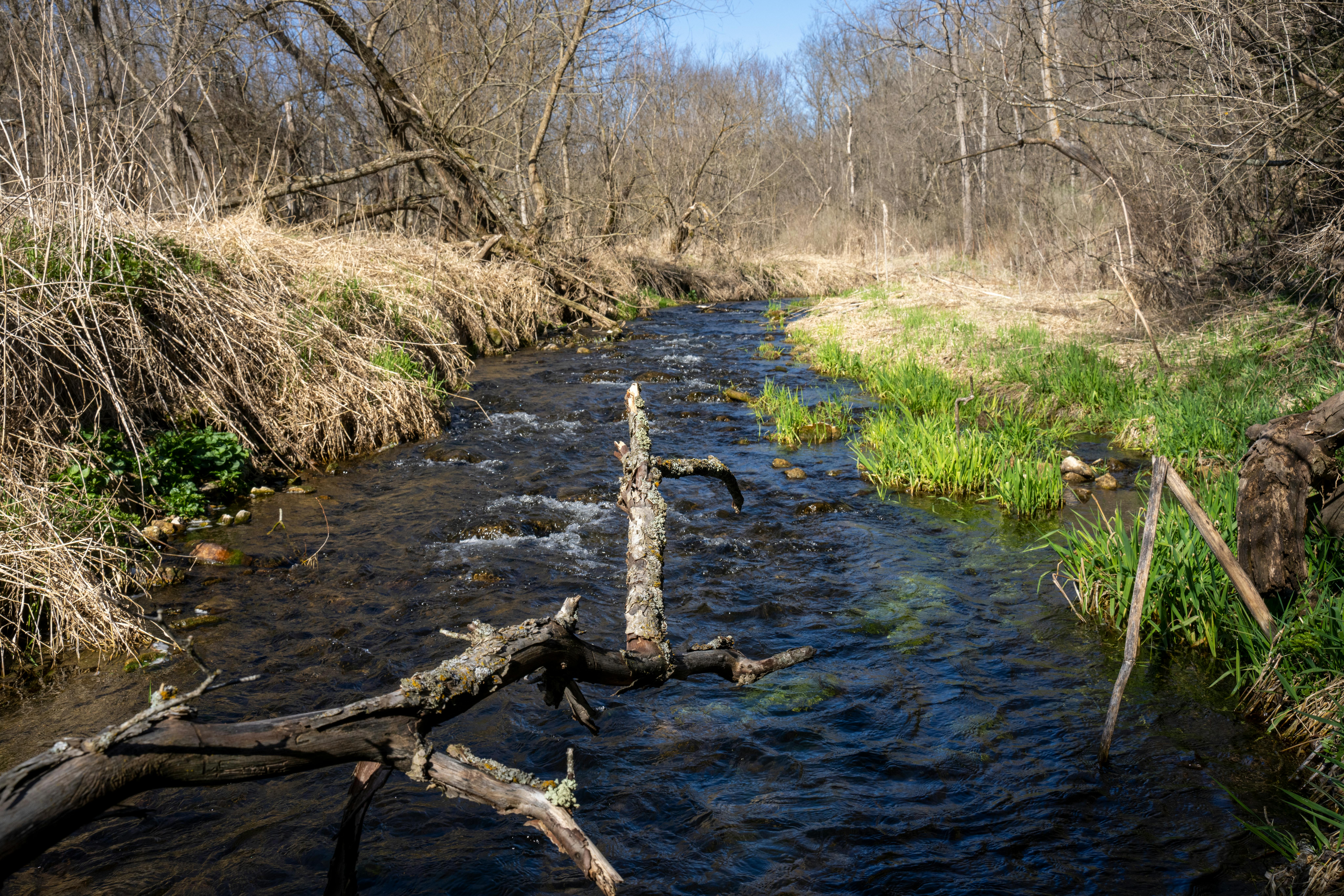 Get Ready for Spring Adventures at the Erie RV and Outdoor Adventure Show — Photo by Tom Fisk on Pexels