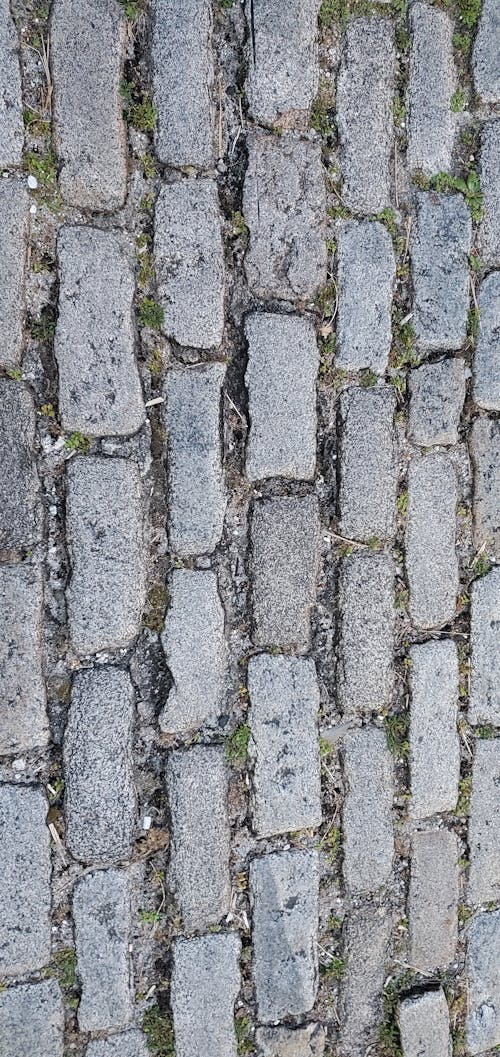 Fotobanka s bezplatnými fotkami na tému dlažobné kocky