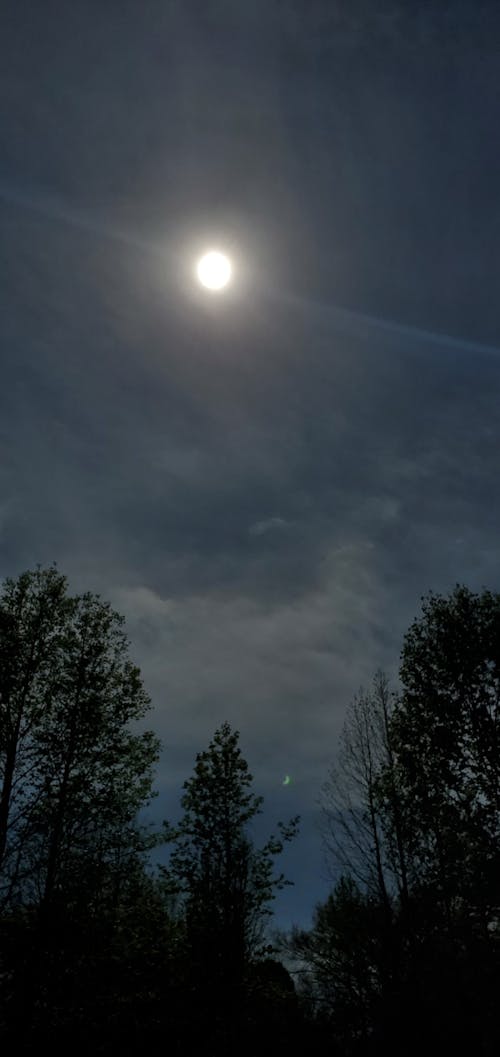 Fotobanka s bezplatnými fotkami na tému slnko, zatmenie