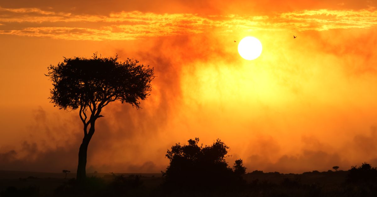 Africa Tour Packages from India: Best Operators and Prices Africa Tour Packages from India: Best Operators and Prices